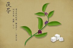 哪里可以找到关于篮球心理训练的资源_2
